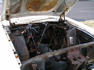 Détails : photo devant et cage moteur de Mustang 1967 1968 B27d_110