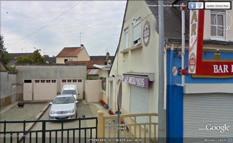 STREET VIEW : Les chiens domestiques dans les cours ou en laisse dans les rues ! Bibich10
