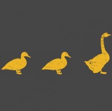 Duck Duck Goose <3 Duck_d10
