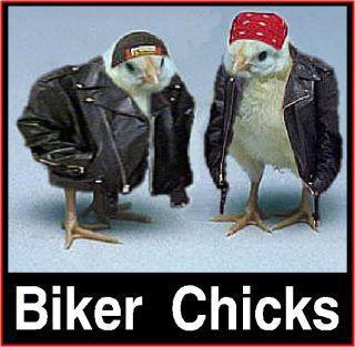 something for E.C. Biker_10