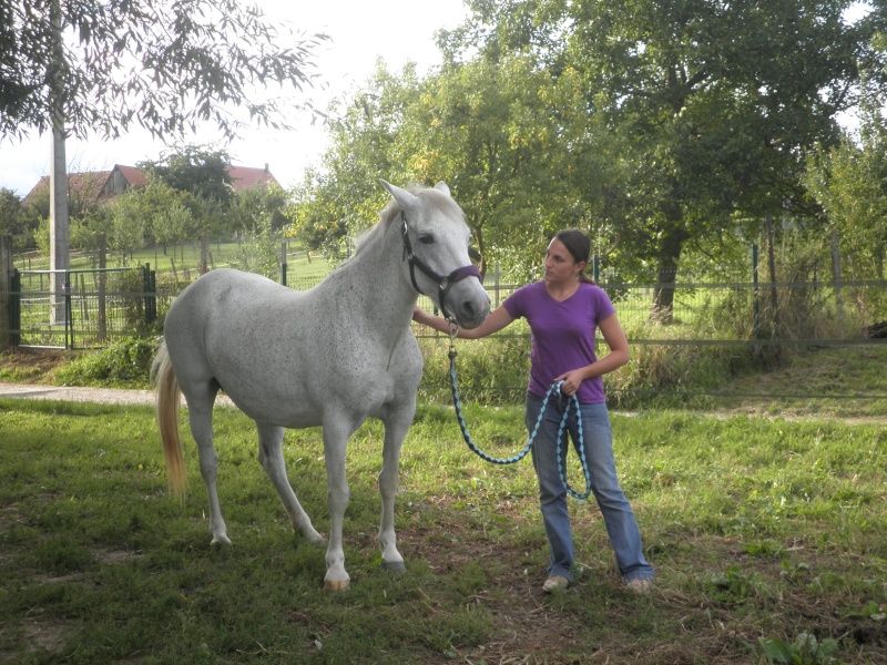 LOLA - ONC Selle typée Camargue née en 1999 - adoptée en juillet 2011 par maya67 P8120110