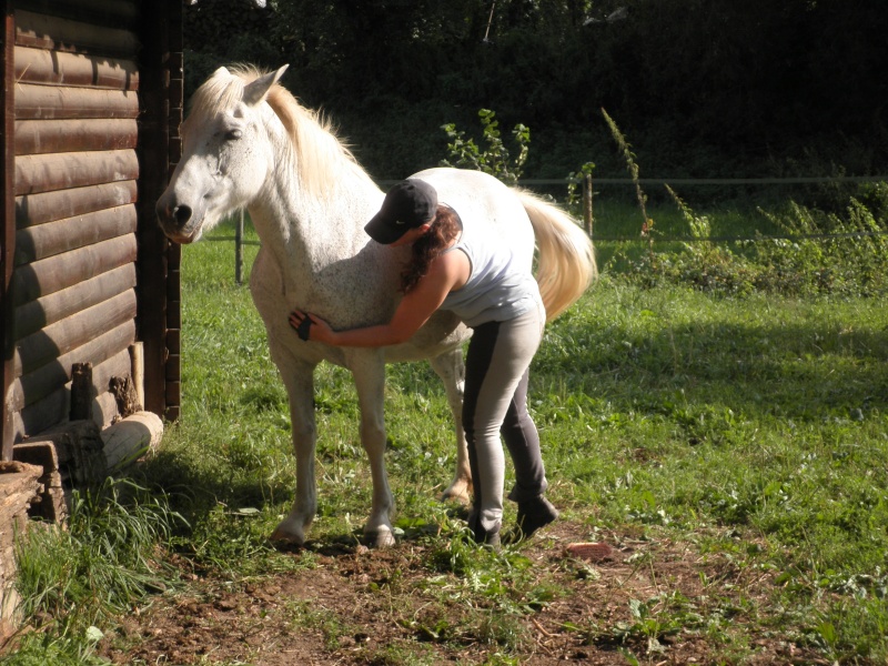 LOLA - ONC Selle typée Camargue née en 1999 - adoptée en juillet 2011 par maya67 P8230311