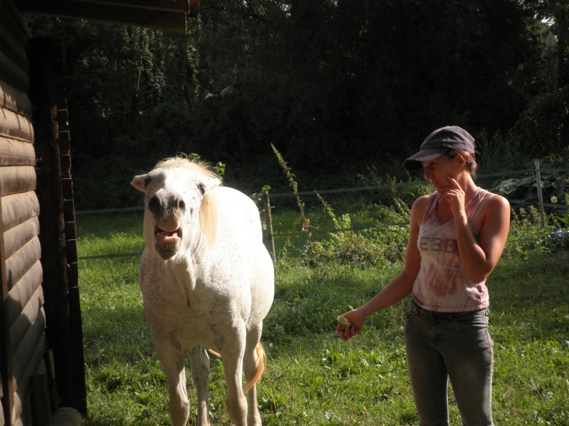 LOLA - ONC Selle typée Camargue née en 1999 - adoptée en juillet 2011 par maya67 P8230313