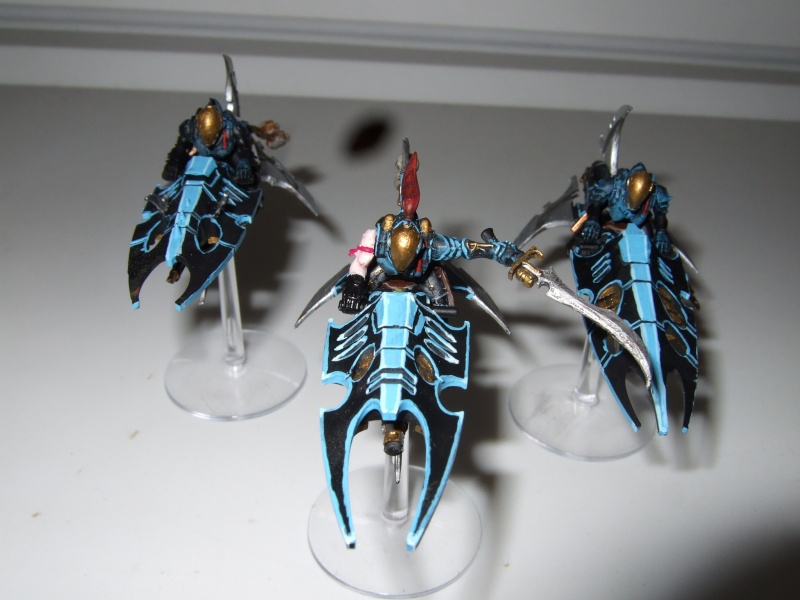 Scourges and Reavers 07413