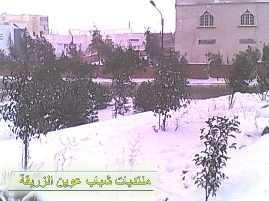 صور الثلوج في قرية عوين الزريقة  2012-031