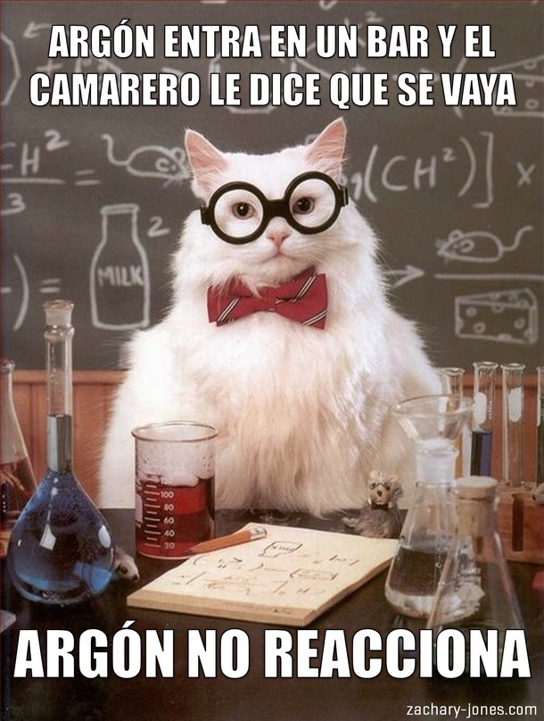 El gato químico Gato_q10