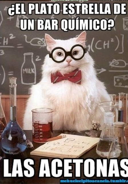 El gato químico Gqac6011