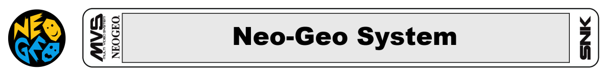 www.neogeo-system.com