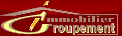 Les Rseaux Immobiliers Gi_log13