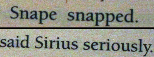 Team Sirius Tumblr10