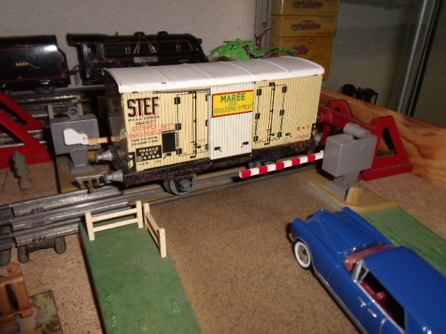 Les wagons de marchandises à l'échelle zéro Dscf4105