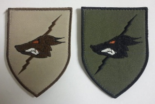 Are those Afghan made patches French? Unkn10