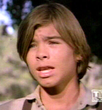 Brad Pitt Little House On The Prairie / 20 Facts About Little House On