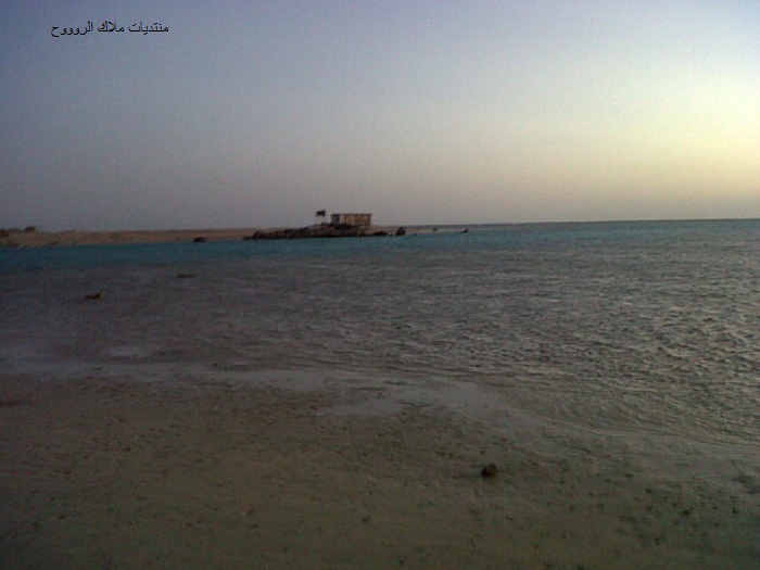 بحر مكة  Img03025