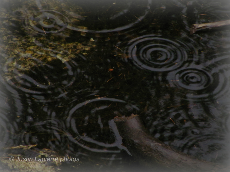 Eau et pluie sur le LAC Img_6313