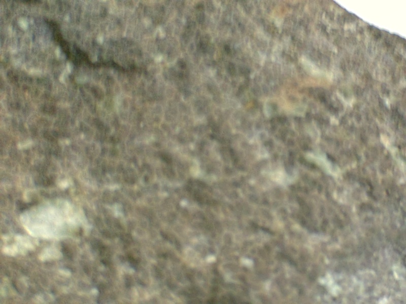 meteorite ou simple roche Pict0918