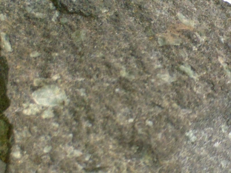 meteorite ou simple roche Pict0922