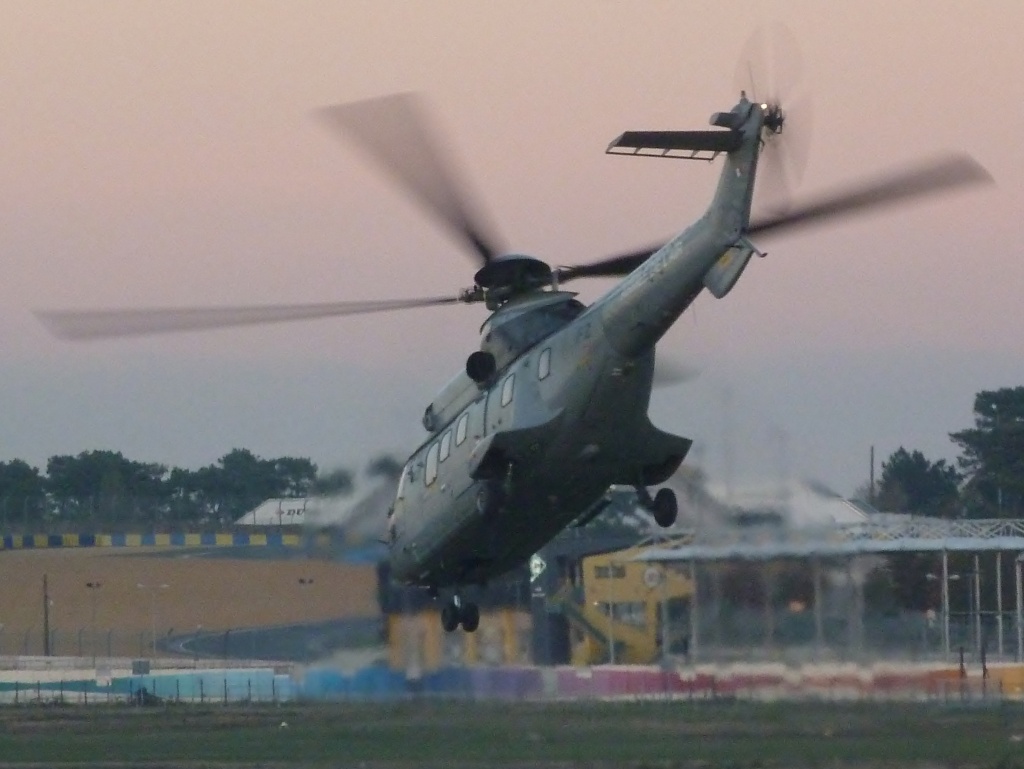 COUGAR ARMEE DE L'AIR 30/10/12 P1090213