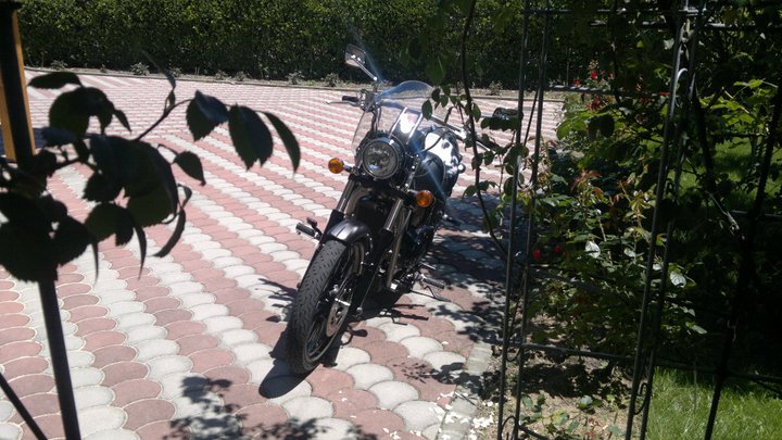 900 VN - Ma nouvelle VN 900 Custom 2010 26499111
