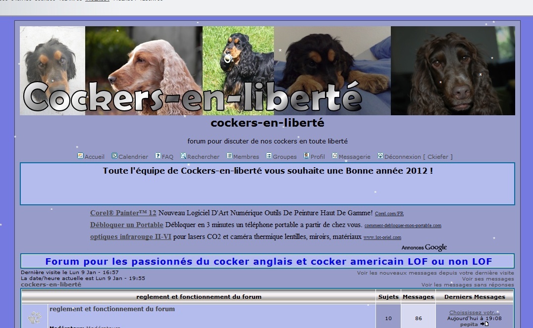 Choisissez votre portail Cocker-en-liberté!! (2eme version ) Image111