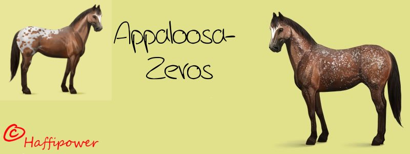 Verzeichnis der Appaloosa Zerozüchter Appalo11