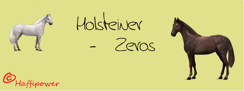 Verzeichnis der Holsteiner Zerozüchter Holste10