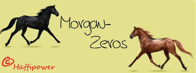 Verzeichnis der Morgan Zerozüchter Morgan10