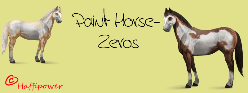 Verzeichnis der Paint-Horse  Zerozüchter Paint_10
