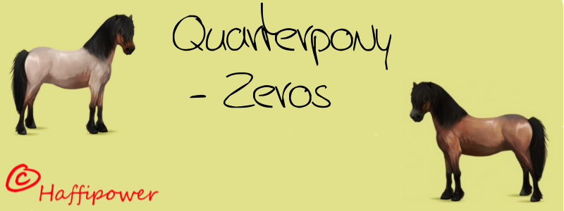 Verzeichnis der Quarter Pony Zerozüchter Quarte10