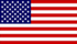 VICTORY POLICE USA  Usflag10
