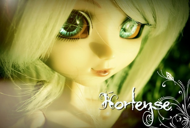 Petite Hortense, sombre demoiselle. (Bloody Red Hood custom) Horten17