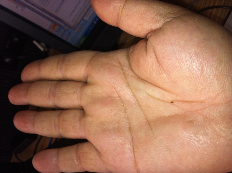 Many lines in my palm which has no reading reference anywhere - can someone help me please Img_0012
