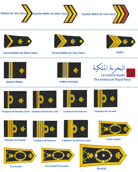 grades et insigne de la marine royale Royal_11