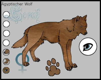 Anfangswolf - Seite 4 Walfe512