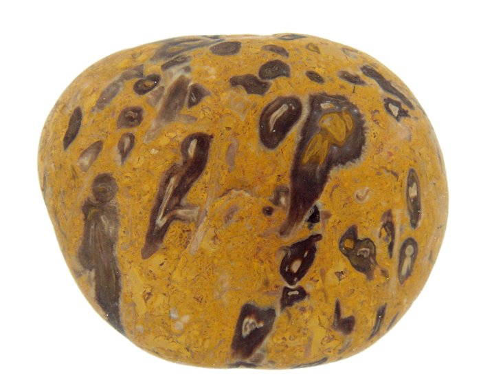 Yuhua Stone (Rain Flower Stone) - Page 3 Fossil53