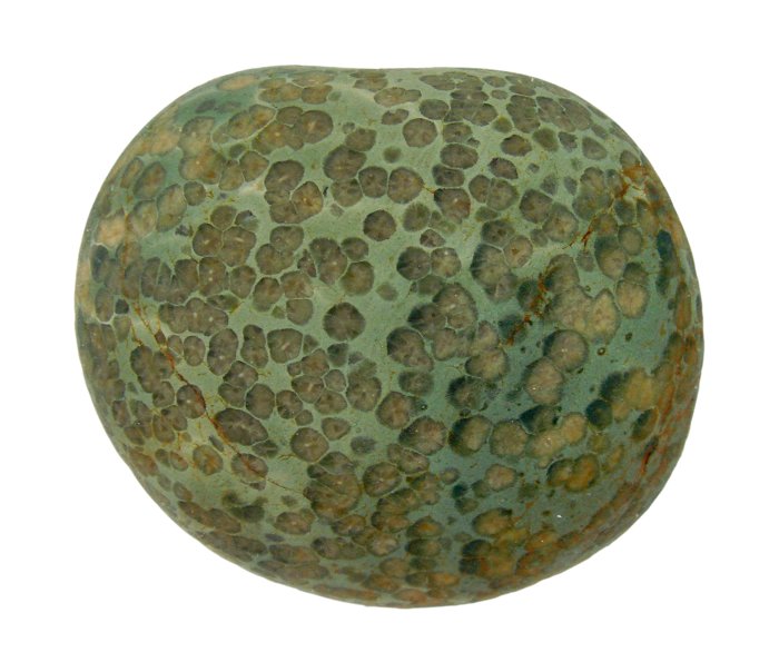 Yuhua Stone (Rain Flower Stone) Pebble10