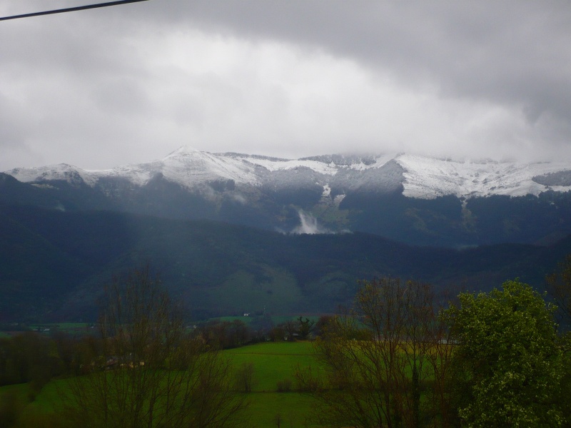 NOS BELLES MONTAGNES  P1060326