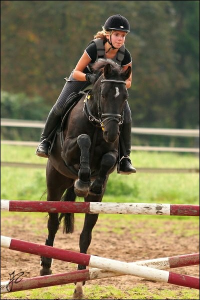 Faven, Trakehner ( é ) Faven10