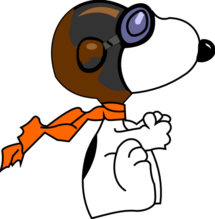 Snoopy, das Fliegeras - in 1:24 und 1:72 Snoopy10