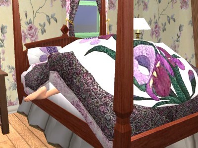Picket Fences! Snaps482