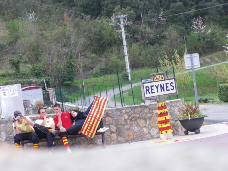 Reynès Reynas10