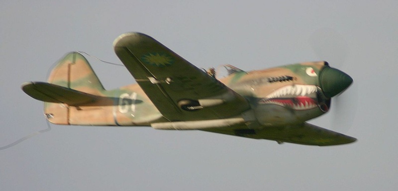 GWS P-40 Warhawk 2411