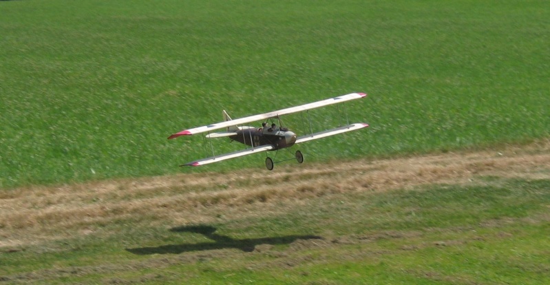 Sopwith F1 Camel - Seite 5 Albatr10