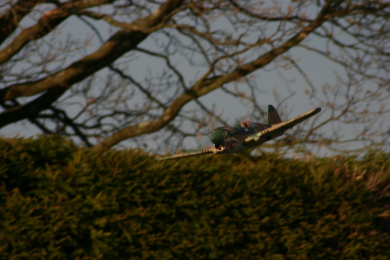 GWS P-40 Warhawk Img_7310