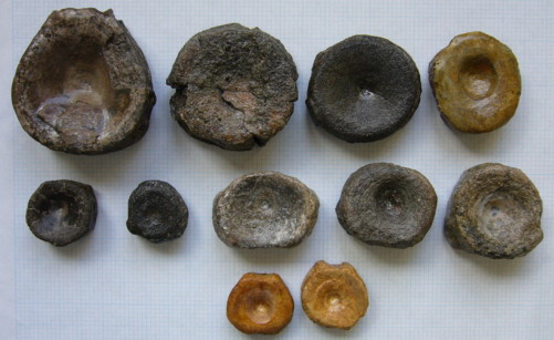 Aust fossil site Fossil12