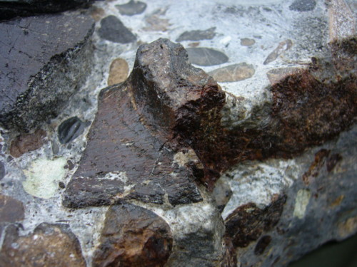 Aust fossil site Plesi_13