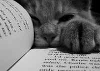 Challenge Partage Lecture 2012/2013 Dreydrey Chat_l11