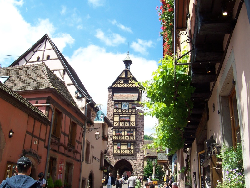 Quelles photos de mon mini-trip en Alsace Alsace30