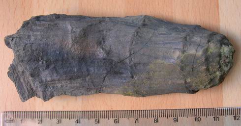 Lancashire Carboniferous 00912