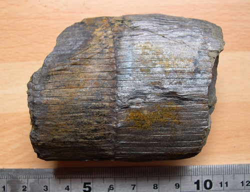 Lancashire Carboniferous Dscn8310
